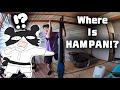 HAMPAN CHALLENGE!! Where is HAMPAN!? ハムパンチャレンジ!ハムパンはどーこだ?!!