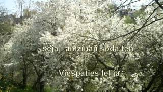 Video thumbnail of "Viešpaties lelija"