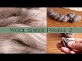 Hand Spinning Different Breeds: Bluefaced Leicester Wool Profile