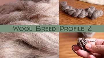 Hand Spinning Different Breeds: Bluefaced Leicester Wool Profile