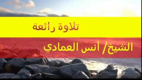 تلاوة رائعة للشيخ / أنس العمادي