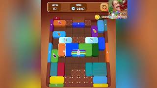 Wood Escape Color Block Level 117
