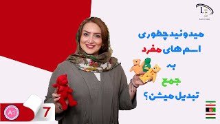 درس 7 | آموزش زبان انگلیسی | میدونید چطوری اسم های مفرد به جمع تبدیل میشن؟