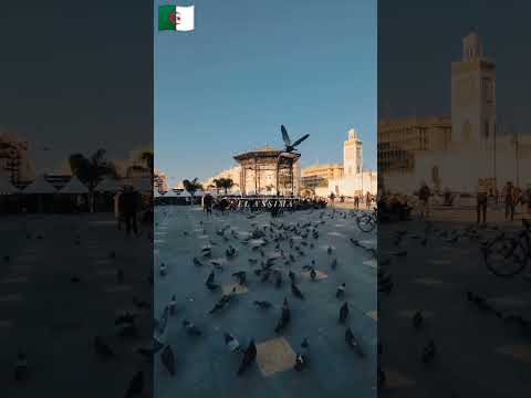The Beauty Of Algiers Alger Algiers Algeria Algerie Tourisme Vacances Voyage Photography