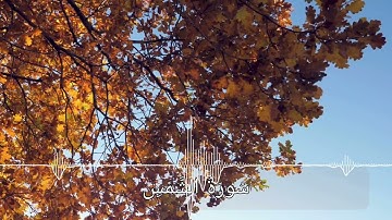سورة الشمس كاملة ☀️ للشيخ عبدالباسط عبدالصمد (مع الترجمة للتركية)