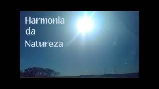 Harmonia da Natureza ( Música feita por mim )
