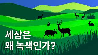 세상은 왜 녹색인가?