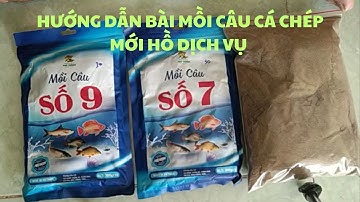 Hướng dẫn chọn bài mồi câu cá chép mới hồ dịch vụ rất hiệu quả (dùng câu đài, câu đơn, câu lục)