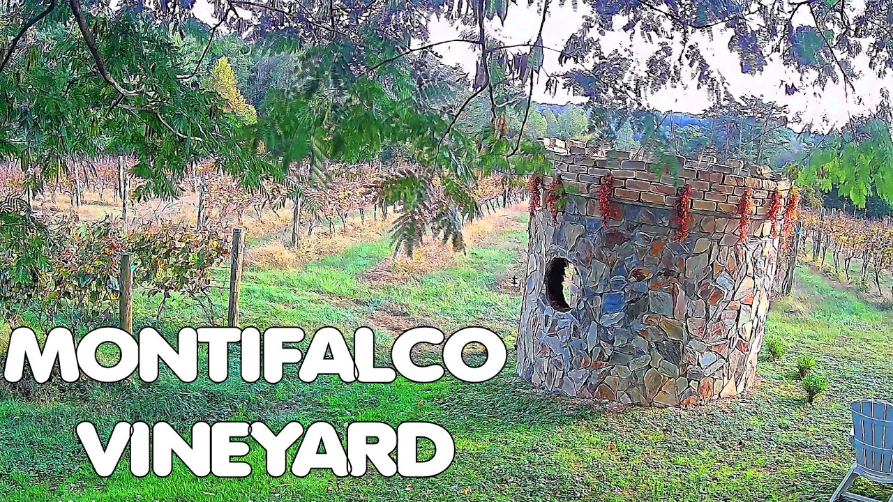 Montifalco Vineyard, Virginia live camera thumbnail