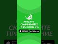 Кенгуру - доставлю еду Вертикально