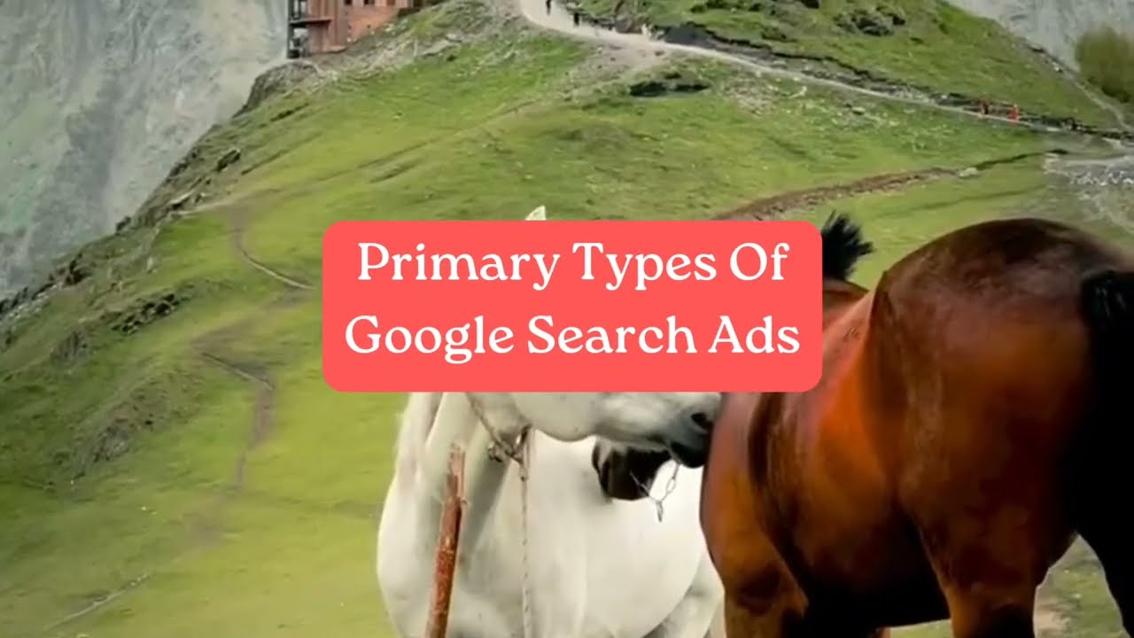 Primary Ad Types in Google Search Campaign | What Types of Ads are Available in Search Campaigns