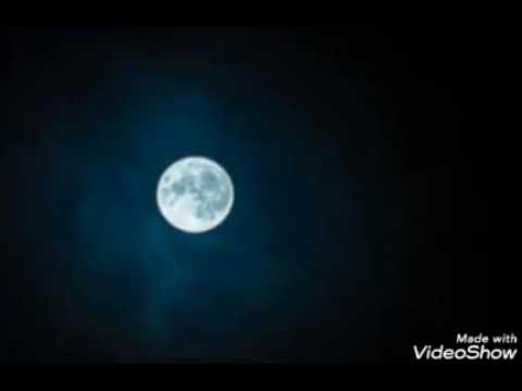 رائعه محمود درويش هي في المساء 