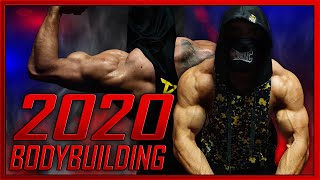 LUKA SCEPANOVIC BODYBUILDING 2020 | NOT NATURAL