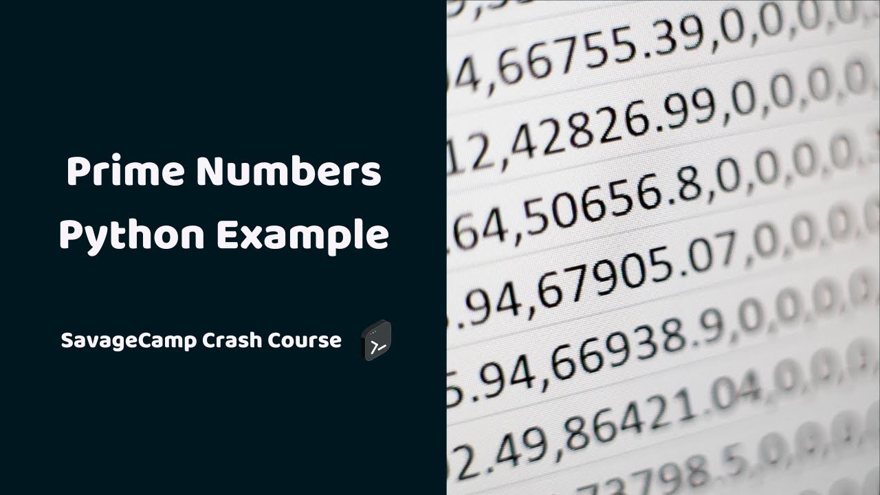 Python Example For Beginners | Prime Numbers Python | SavageCamp - YouTube
