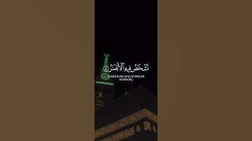 (ولا تحسبن الله غافلا عما يعمل الظالمون)سورة إبراهيم للقارئ عادل احمد زكى