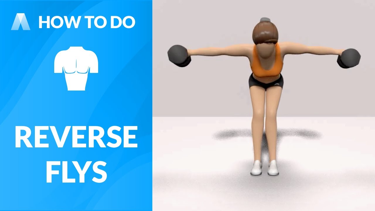 How To Do Reverse Flys | Reverse Fly With Resistance Bands – HYUJV