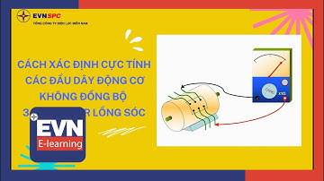 XÁC ĐỊNH CỰC TÍNH ĐỘNG CƠ KHÔNG ĐỒNG BỘ 3 PHA ROTO LỒNG SÓC