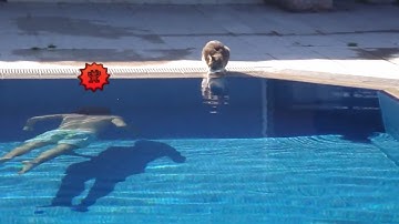 shin megami tensei iv be like