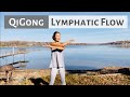 Qigong for lymphatic flow  swing arm qigong