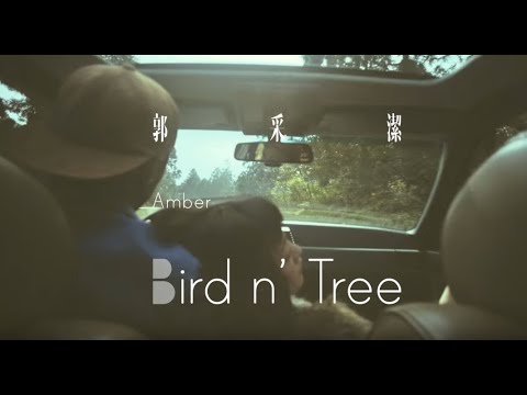 郭采潔 Amber – Bird n' Tree (Official 高畫質 HD 官方完整版 MV)