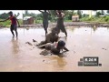 kannada  kabaddi in mud game show very funny by prakash chiru