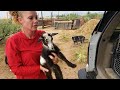 Last Week On Blue Cactus E9: Time To Deliver Some Goat Babies