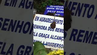 A história da estátua encontrada durante a escavação do lago é fascinante!