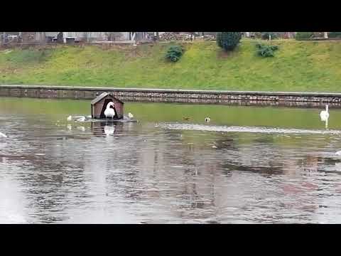 Калининград. Лучшее место для жизни пенсионеров.