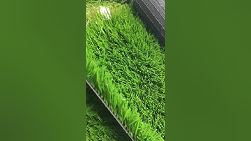 📍Hello everyone,I am a #doleader #artificialgrass #factory from #china 😍#professional #production 💚
