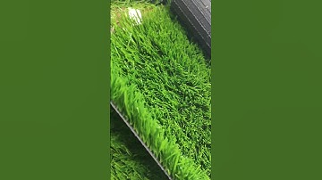 📍Hello everyone,I am a #doleader #artificialgrass #factory from #china 😍#professional #production 💚