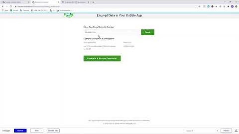 How To Encrypt & Secure Sensitive Data in Bubble.io
