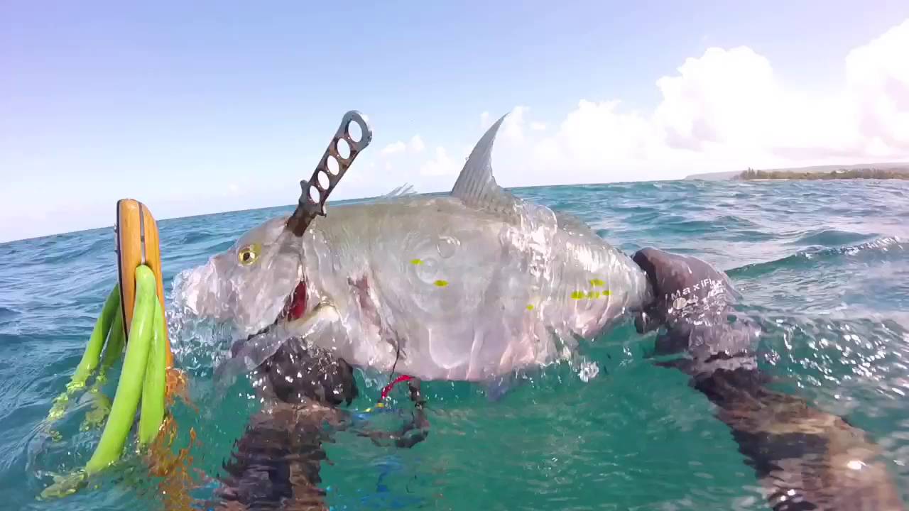 MDB Spearfishing Hawaii 2