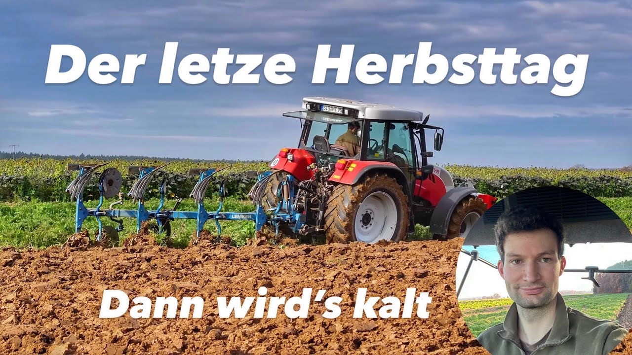 Pflügen | Letzter Weidegang | Kälbchen 