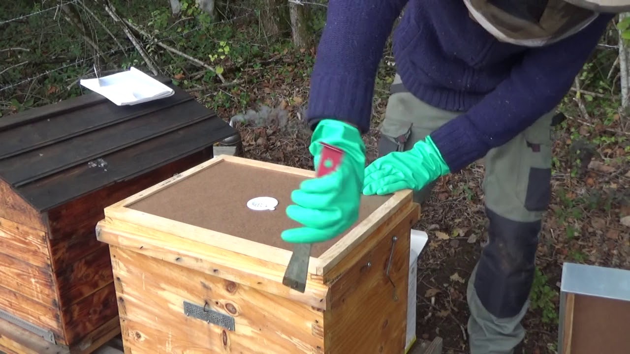 Test varromed en traitement principal (bio) contre varroa - application