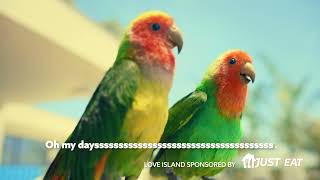 Lovebirds - Subtitles | Just Eat x Love Island 2021 - Get Stuck In