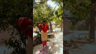 Gojhiya chor 🫣😂🤣 funny and comedy video 📸 #comedy #shorts #reels #viral #trending #funny #fun