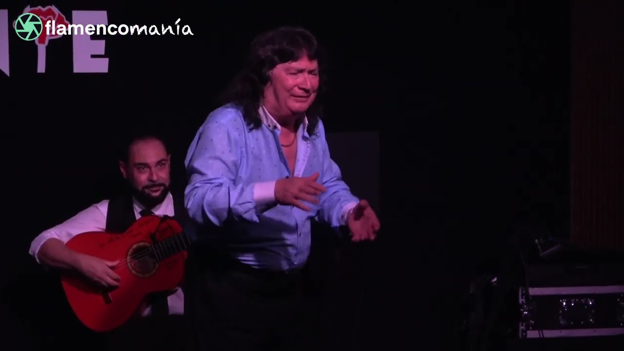 #Flamenco #4k - @cancaheredia  por Bulerías en la Buena Gente de Jerez - 9 septiembre 2023
