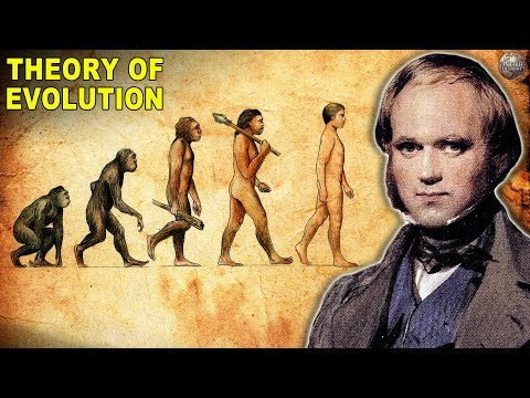 Wideo: Kiedy powstała teoria ewolucji?