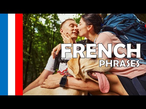 Your Daily 30 Minutes of French Phrases # 734