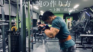 【トレ動画】太い腕の作り方〜上腕三頭筋編〜