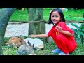 Naila Kasih makan kelinci Lucu BIKIN GEMES - Taman Binatang mini ada Kura-kura,ikan dan angsa