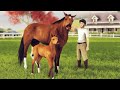 Wild Horse Transport Truck Simulator 3D | Ultimate Animal Truck Driving Game 🚛🐎
