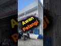Awan Pelangi di Bogor