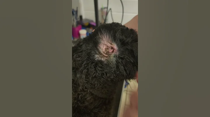 Ear Plucking