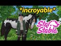 Star coins gratuits et chevaux pas chers  star stable  sso