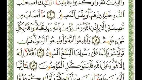 064 - سورة التغابن - شيرزاد عبد الرحمن طاهر