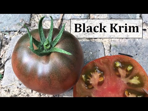 Video: Israel Hat Rote Zitronen Und Schwarze Tomaten Angebaut - Alternative Ansicht