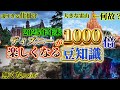 【年末必見】2026年のディズニーが1000倍面白くなる豆知識をまとめてみた。