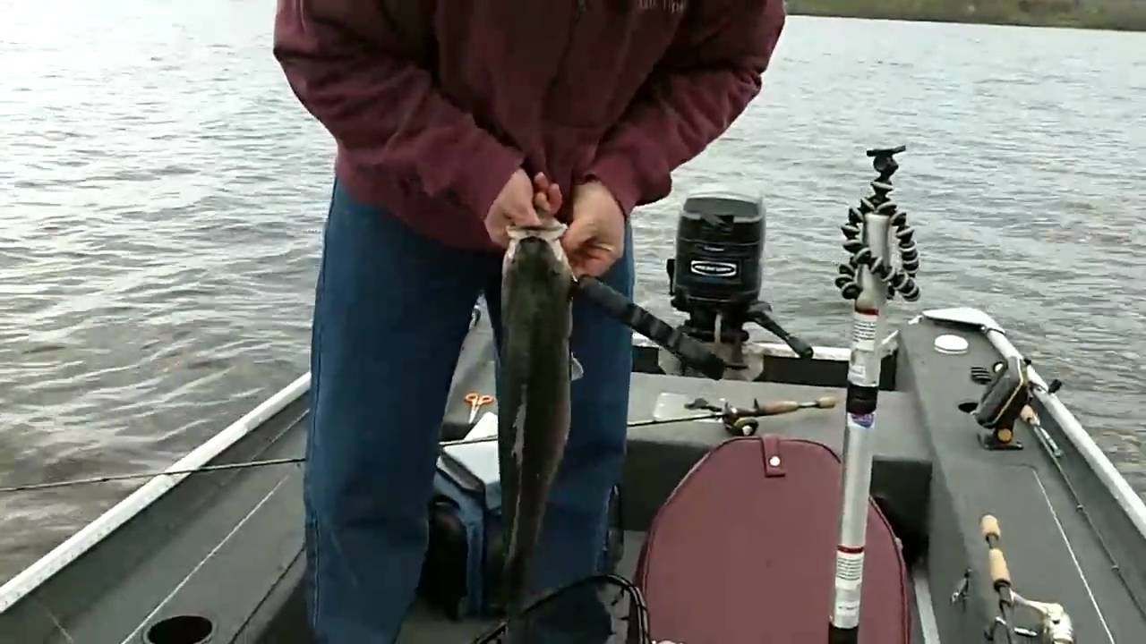 Striper Fishing Lake Arthur Kodak Playsport YouTube