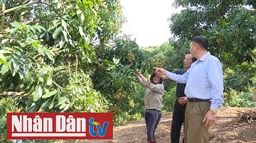 Tái cơ cấu sản xuất nông nghiệp theo hướng hữu cơ